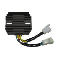 ElectroSport Charge controller ESR 124