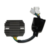 ElectroSport Charge controller ESR 691