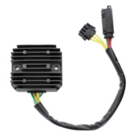 ElectroSport Charge controller ESR 711