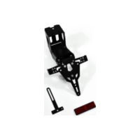 ZIEGER-Pro License plate holder for: APRILIA SMV 1200 Dorsoduro