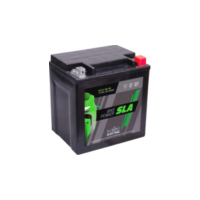 Akku INTACT Bike Power SLA Batterie YIX30L-BS