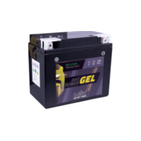 INTACT Bike Power GEL battery YB16-B