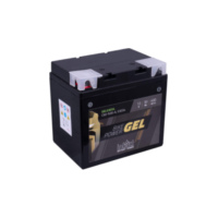 INTACT Bike Power GEL battery C60-N30-A