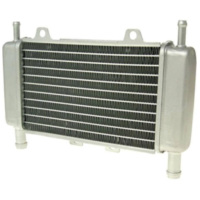 Radiator Kühler für Gilera Runner, DNA, Piaggio Zip SP 13655