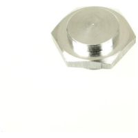 float bowl drain bolt Arreche 15707