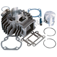 cylinder kit Polini cast iron 50cc Yamaha Chappy 166.0050