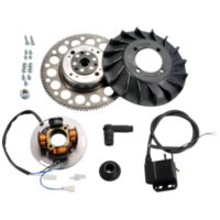 Zündung Polini analog mit Licht für Vespa PX 125, TS 125, PX 150 Sprint Veloce, PE 200, PX 200 mit E-Starter 171.0550