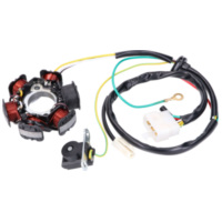 Ankerplatte Spule Lichtmaschine Stator für Kymco DJ 50, Fever ZX, Curio 50, KB50, SYM Fancy 50 19751