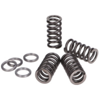 clutch springs Polini reinforced for Minarelli AM4, AM5, AM6 228.0105