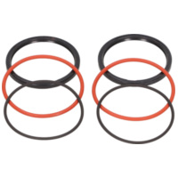 oil seal kit Polini Speed ??Drive for Piaggio, Minarelli 242.031