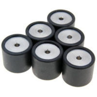 roller set / variator weights Polini 19x17mm - 6.0g 242.094