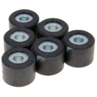 roller set / variator weights Polini 15x12mm - 2.1g 242.130