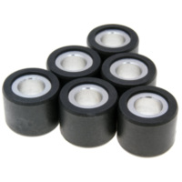 roller set / variator weights Polini 23x18mm - 13g 242.149