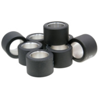 roller set / variator weights Polini 28x20mm - 20.0g (8pcs) 242.237