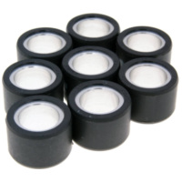 roller set / variator weights Polini 25x17mm - 16.0g (8pcs) 242.282