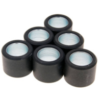 roller set / variator weights Polini 20x17mm - 12.5g 242.291