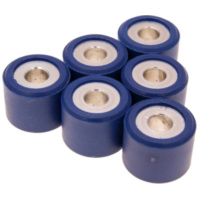 roller set / variator weights Polini 21x17mm - 10.5g 242.341