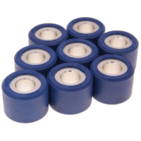roller set / variator weights Polini 25x19mm - 17.0g (8pcs) 242.364