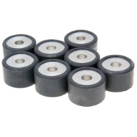variator / vario rollers Polini 25x16mm - 16.0g - set of 8 pcs 242.395