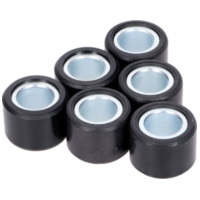 variomatic weights Polini 20x14.95mm - 15g 242.434