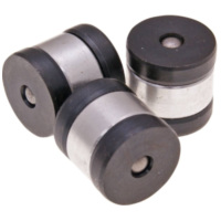 centrifugal rollers Polini for Yamaha T-MAX 500, 530 246.047