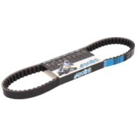 Keilriemen Polini 800x18,5x8,5 Aramid Maxi Belt für Honda Vision 110 4-Takt 248.109