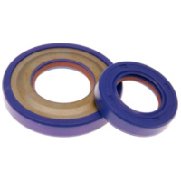 Simmrring Wellendichtringsatz Kurbelwelle Polini FKM/PTFE 19mm für Vespa PK 50, 125, XL 50, 125, Primavera 125 ET3 285.0005