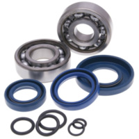 crankshaft bearing set SKF 19mm incl. o-rings for Vespa 50, PK 50 35248