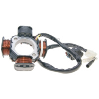 Ankerplatte Spule Lichtmaschine Stator für Pegasus Sky, Corona Sport, R50X, TGB 101, 203, 303 Bullet, Laser, Tapo 36729