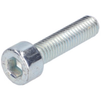 screw M5x20 hexagon socket zinc plated 38508