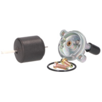 carburetor repair kit for Puch MS 50, MV 50, DS 50 w/ Bing SSE carb 39118