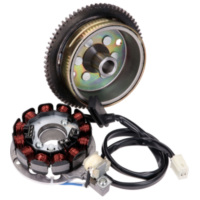 Ankerplatte Spule Lichtmaschine Stator und Rotor für Minarelli AM6 Moric / Power up mit E-Start 42516