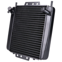 radiator for Piaggio MP3 125-500, Gilera Fuoco 49323