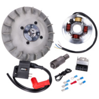 Zündung EVOK Elektronik 12V d=17mm für Vespa Largeframe, GT, Sprint, Super, VNA, VNB 49378