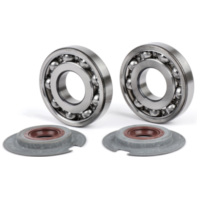 Bearing and oil seal set for crankshaft -BGM PRO FKM/Viton® (E10/etahnol resista 0559