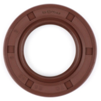 Oil seal 25x42x6mm -BGM PRO FKM/Viton® (E10/etahnol resistant)- (used for cranks