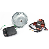 Ignition -BGM PRO 12V Touring V2 (1315g)- Conversion to electronic ignition - fo