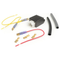 Voltage regulator -4-plug BGM PRO 6V AC/DC- universal 52129
