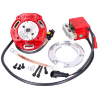 internal rotor ignition Italkit Selettra analog for Derbi EBE, EBS 2-stroke Euro2 52811