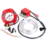 Innenrotor Zündung Italkit Selettra analog für Gilera Runner, Piaggio Skipper, Hexagon, Italjet Dragster 125, 180ccm 2-Takt 5281