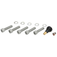 montage set BGM PRO 13 inch for front wheel Vespa GTS BGM7660MKTF