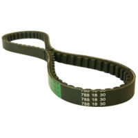 Antriebsriemen drive belt original replacement type 788mm for 139QMB, QMA, for: Baotian, Huatia