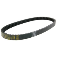 Antriebsriemen drive belt Dayco Power Plus for SYM Joyride, for: Malaguti F18 DC32305