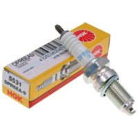 spark plug NGK DPR6EA9 DPR6EA9