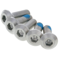 pan head screw M8x25/20 for brake disc - set of 5 pcs IP32249