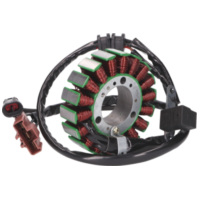 Ankerplatte Spule Lichtmaschine Stator für Aprilia Scarabeo, Piaggio Beverly, MP3, Gilera Fuoco IP39262