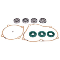 engine gasket and bearing set for Puch Maxi S, N, E50 (old type engine) IP44281