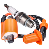 Zündung Upgrade Kit Naraku High Output 1-Pin Zündspule und Zündkerze Iridium kurzes Gewinde für Minarelli 2T liegend, stehend AC
