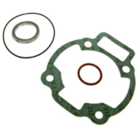 Dichtsatz Zylinder Dichtungssatz Malossi 172ccm für Piaggio 125-180ccm 2T M.118337 passend für Gilera Runner Soul Modelle 125 M46301 2012, 15 PS, 11 kw