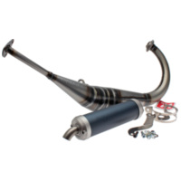 exhaust Malossi MHR Replica for Aprilia RS4 50 2T LC D50B 2012- Euro2- M.3215230